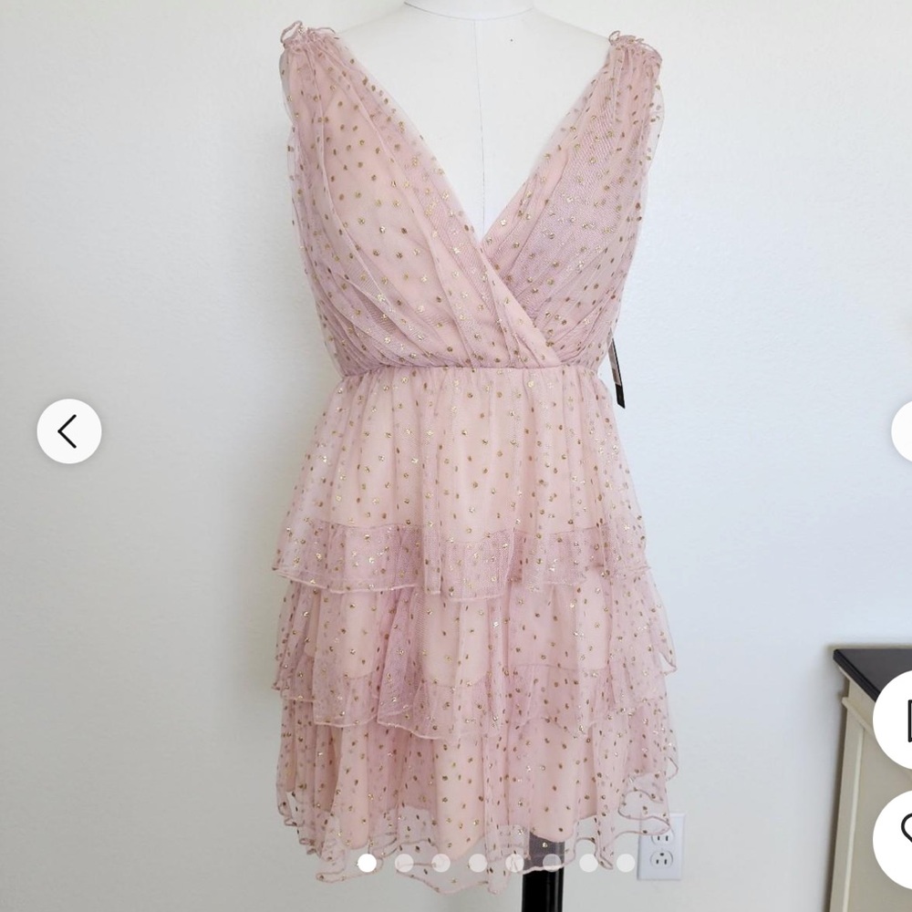 Mini Ruffled Tiered Tulle Dress - Picture 2 of 13